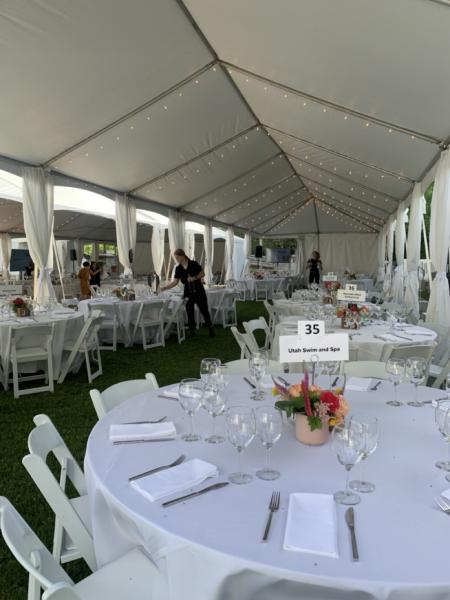IMG2294-Large